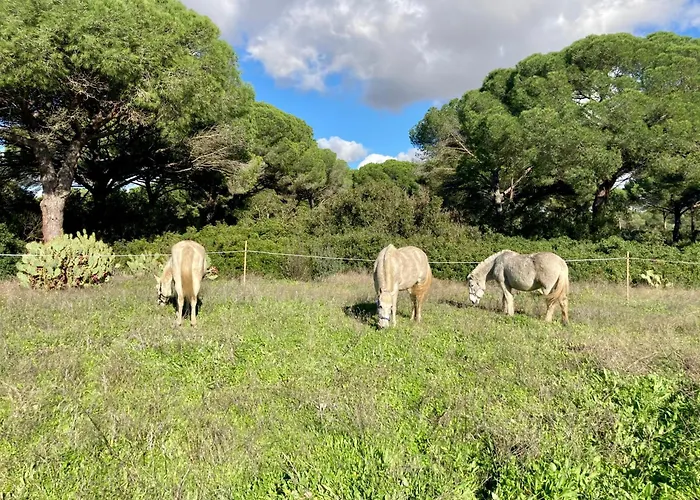 Casa Rural Con Piscina Cerca Cadiz Y Playas