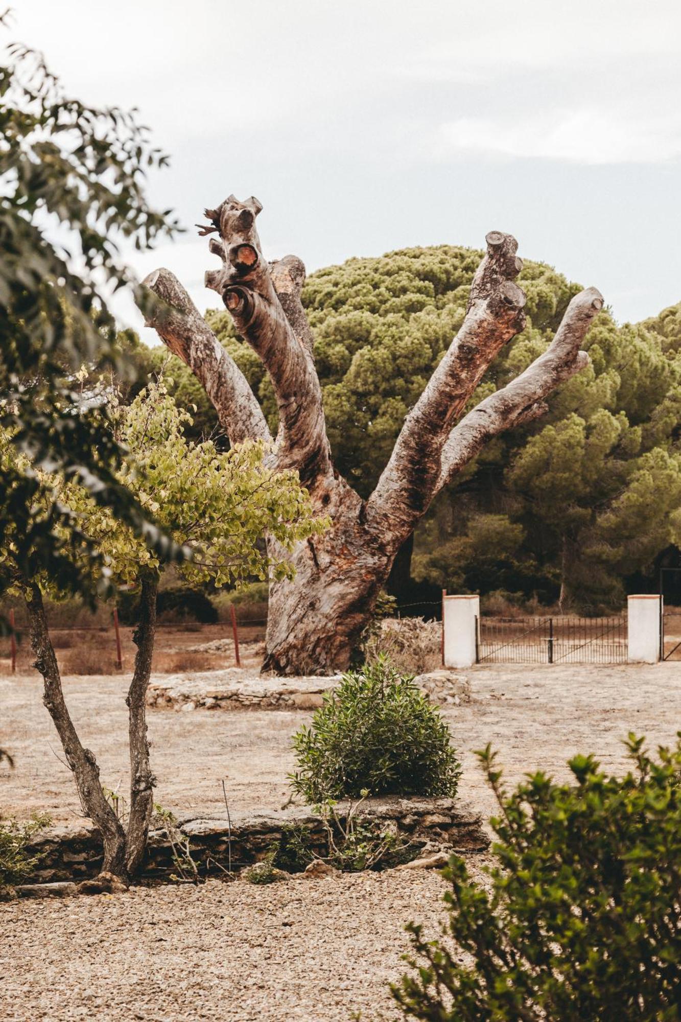 Villa Casa Dehesa De Yeguas
