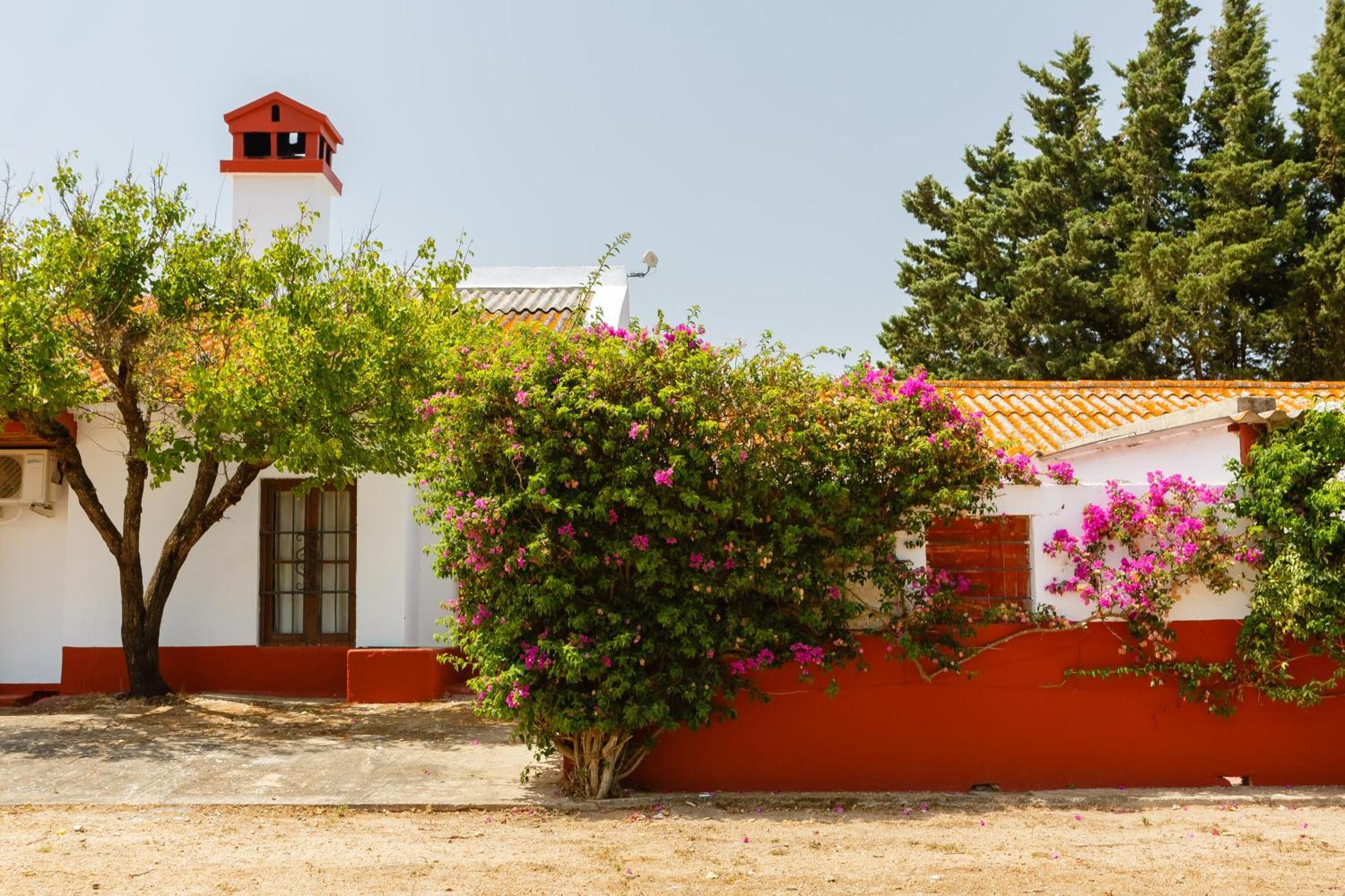 Casa Dehesa De Yeguas Villa Cádiz